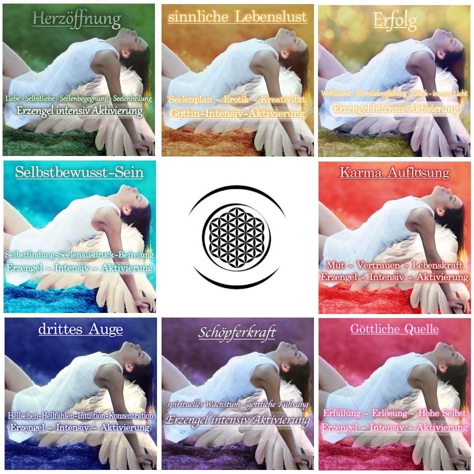 find-the-best-meditation-chakren-aktivierungs-bundle-alle-8-cds-download-supply_0.jpg